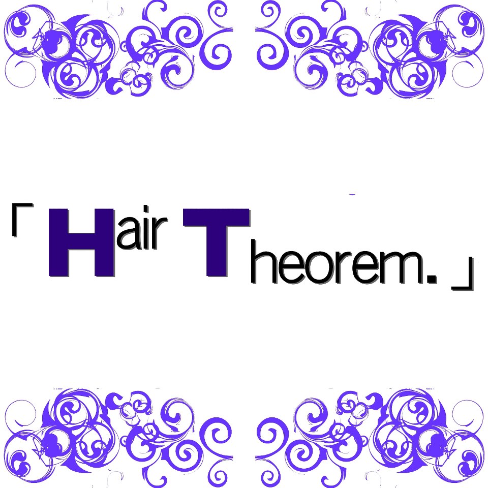 電髮/負離子: Hair Theorem